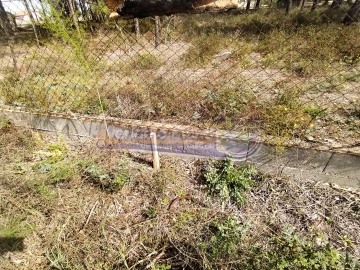 Terreno para Venda em Salvaterra de Magos e Foros de Salvaterra