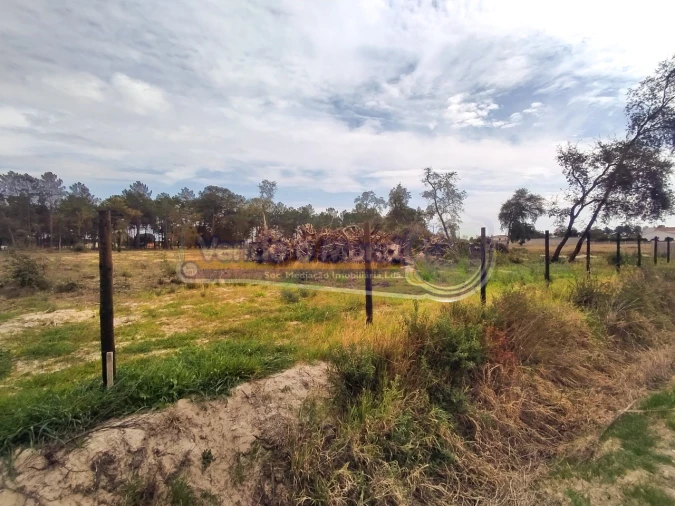 Terreno para Venda em Salvaterra de Magos e Foros de Salvaterra Foto 2