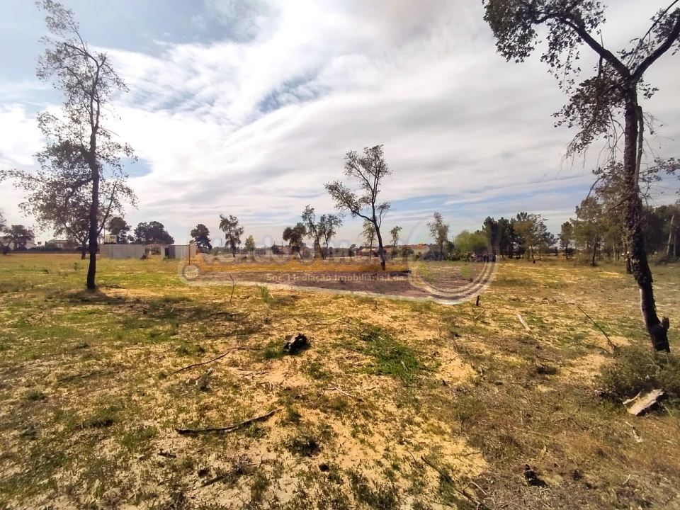 Terreno para Venda em Salvaterra de Magos e Foros de Salvaterra Foto 11
