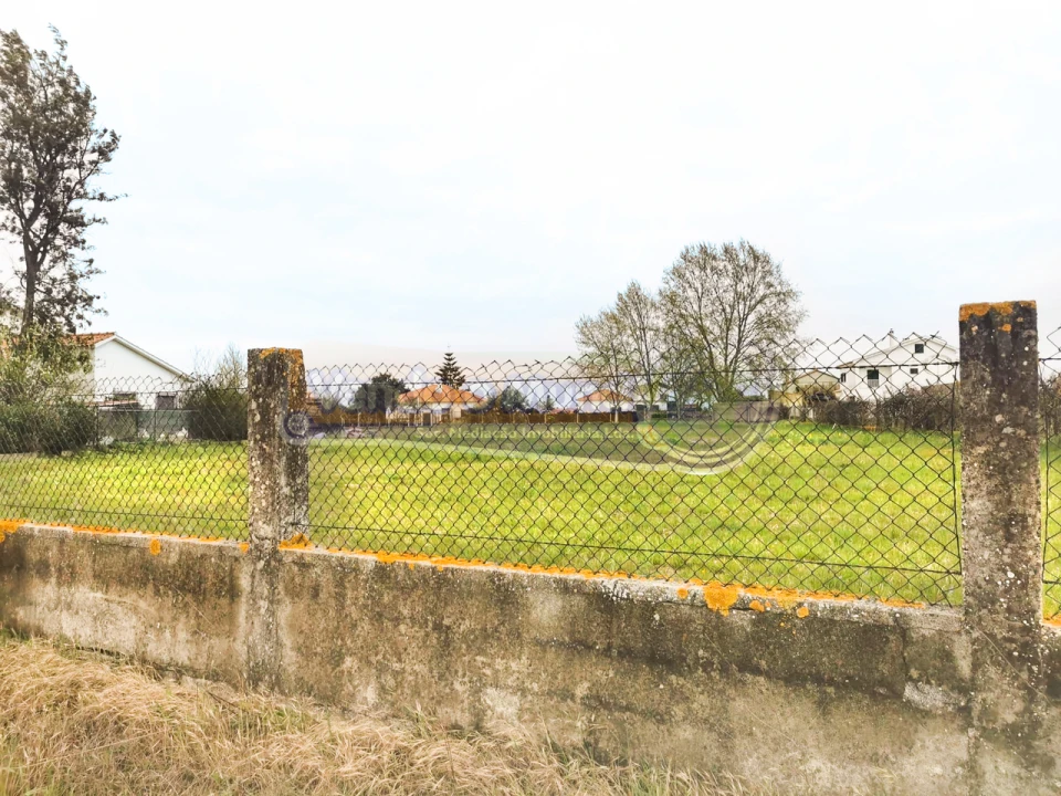 Terreno para Venda em Marinhais Foto 3