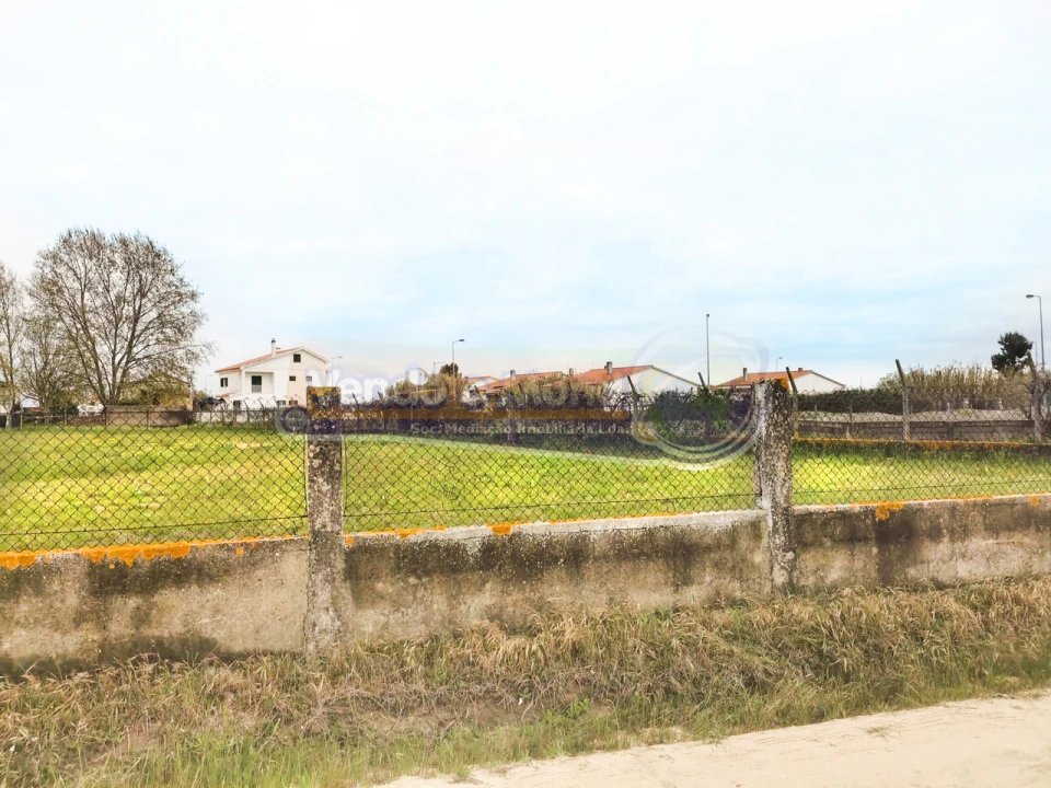 Terreno para Venda em Marinhais Foto 5