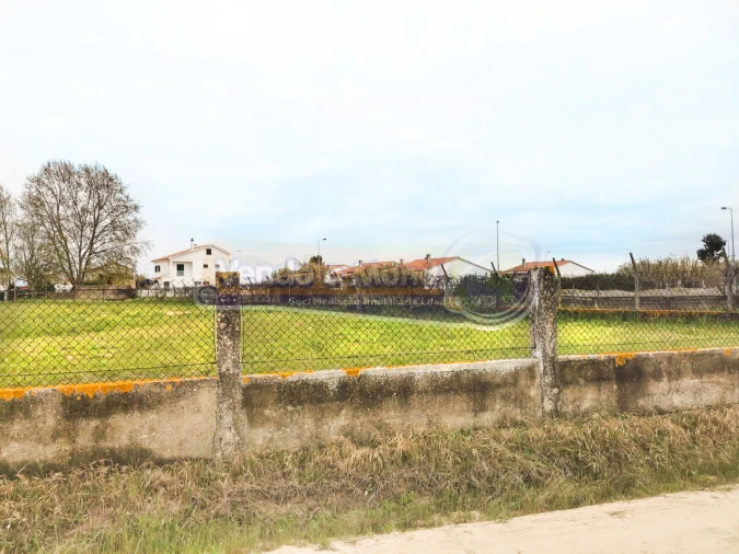 Terreno para Venda em Marinhais Foto 5