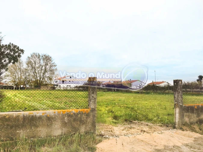 Terreno para Venda em Marinhais Foto 4