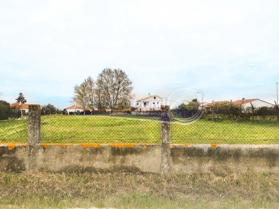 Terreno para Venda em Marinhais Foto 6