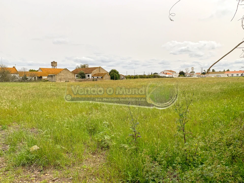 Terreno para Venda em Salvaterra de Magos e Foros de Salvaterra Foto 3