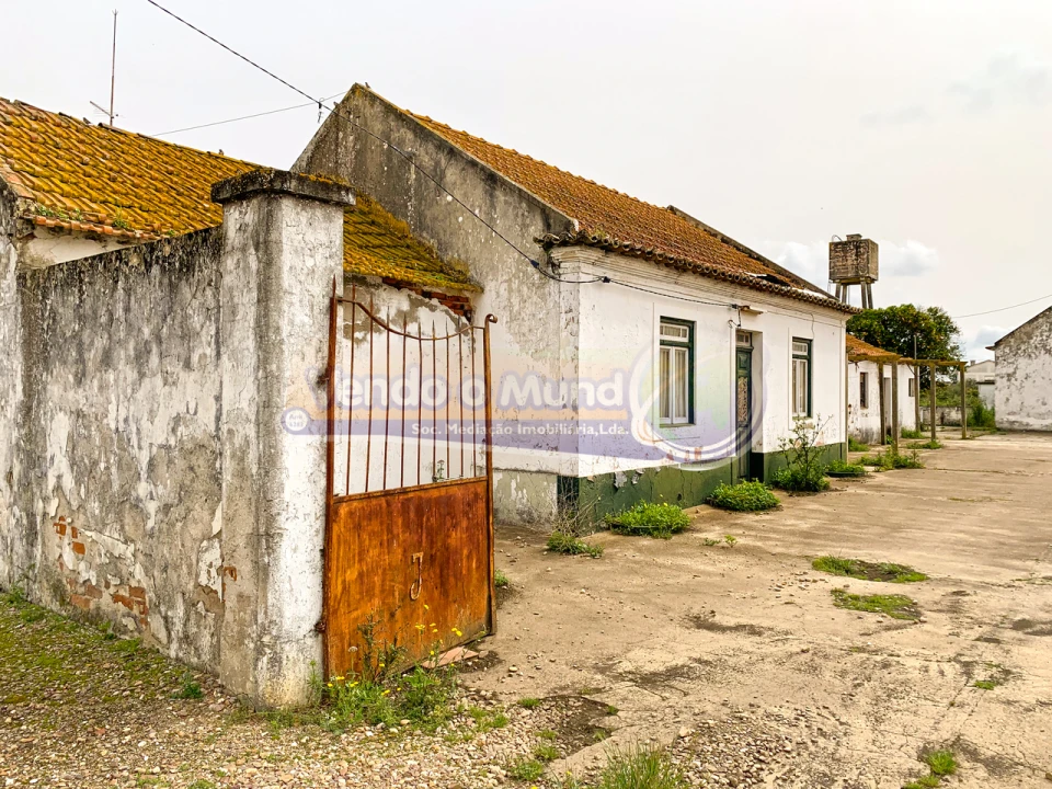 Terreno para Venda em Salvaterra de Magos e Foros de Salvaterra Foto 6