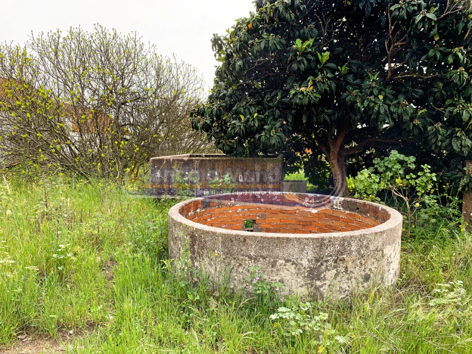 Terreno para Venda em Salvaterra de Magos e Foros de Salvaterra Foto 5