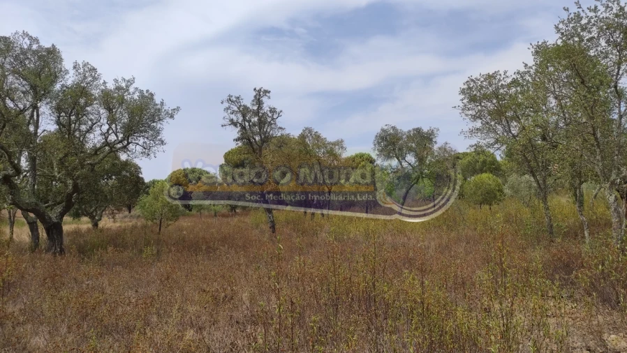 Terreno para Venda em Mora Foto 4