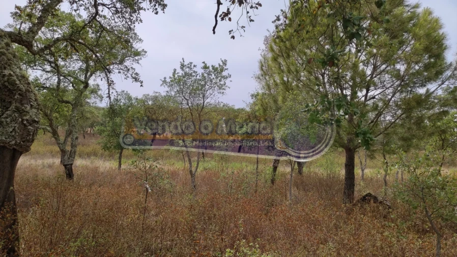 Terreno para Venda em Mora Foto 5