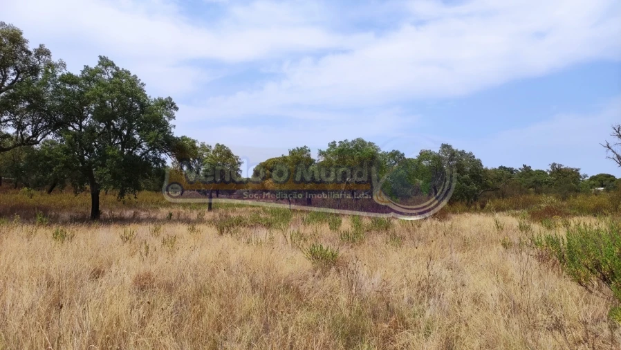 Terreno para Venda em Mora Foto 7