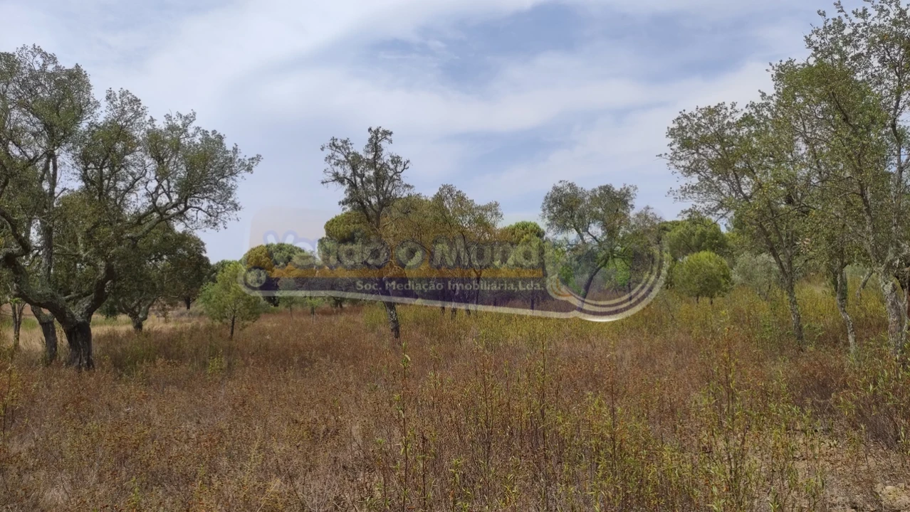 Terreno para Venda em Mora Foto 4