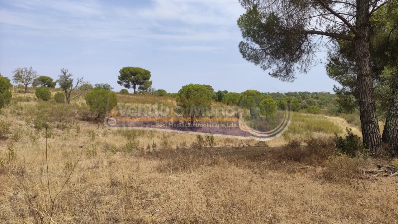 Terreno para Venda em Mora Foto 1