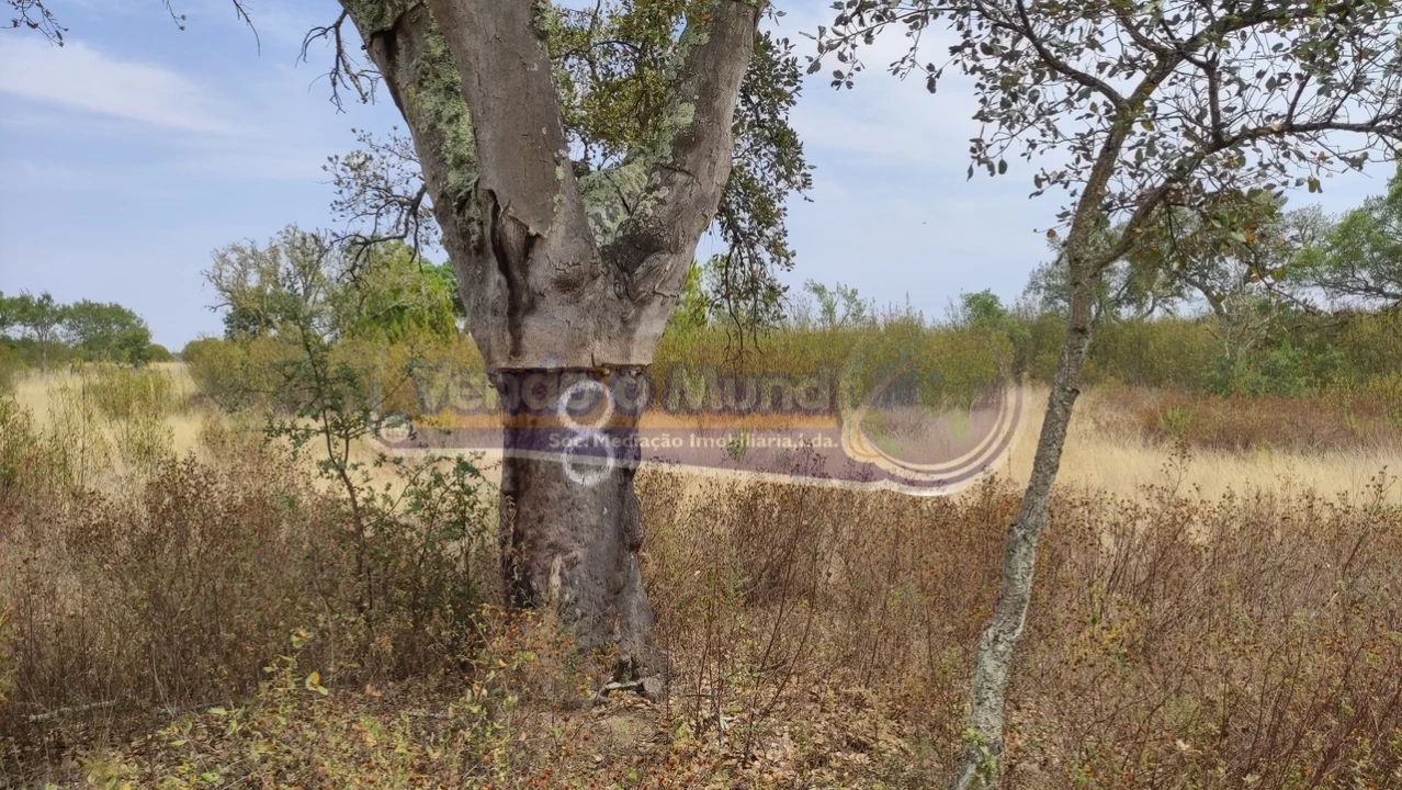 Terreno para Venda em Mora Foto 3