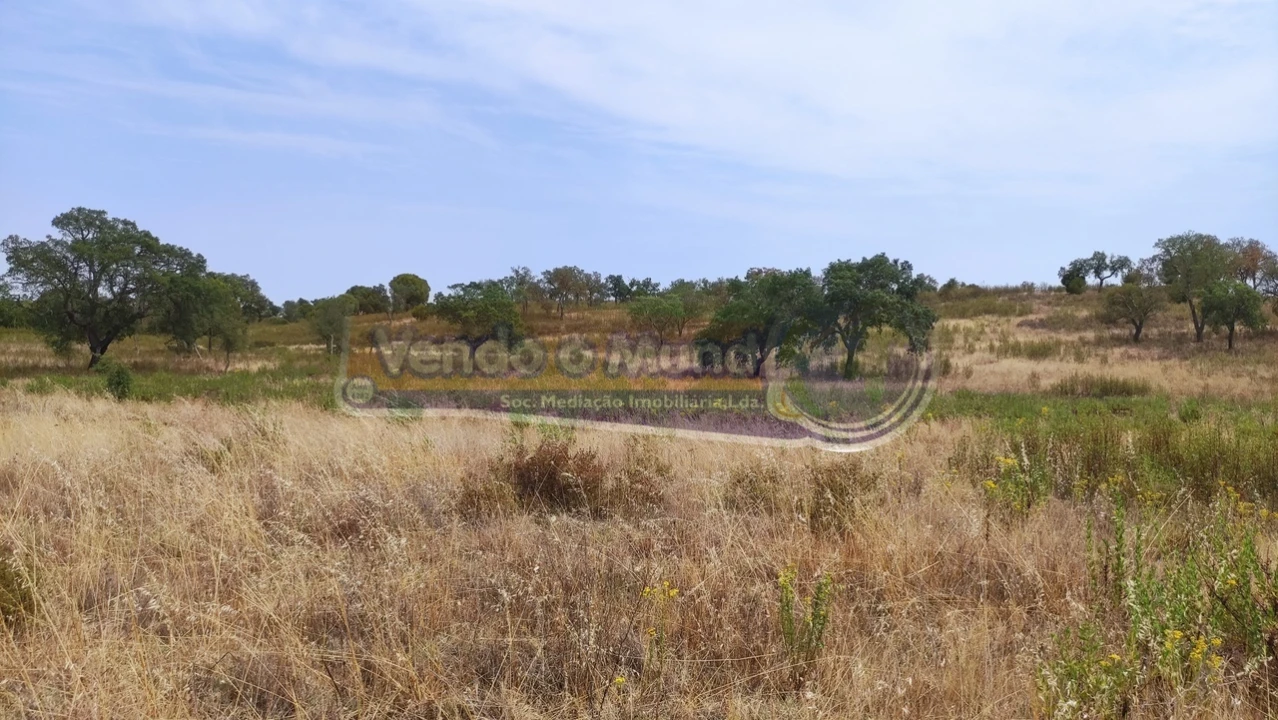 Terreno para Venda em Mora Foto 2