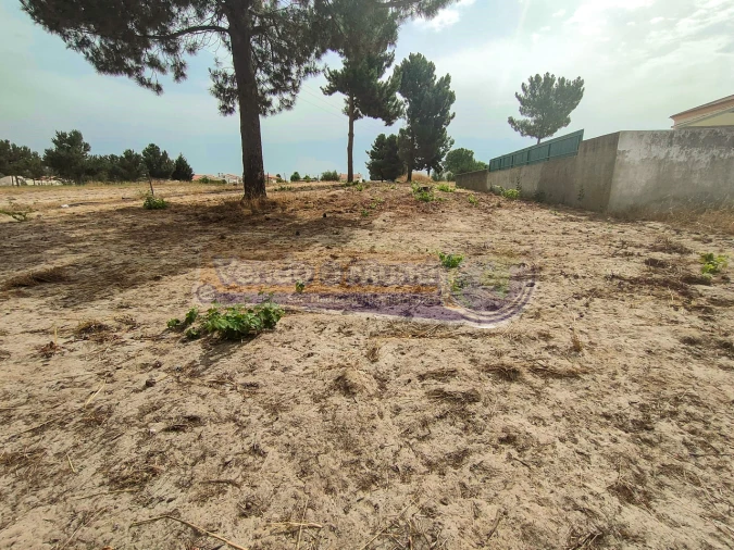 Terreno para Venda em Marinhais Foto 5