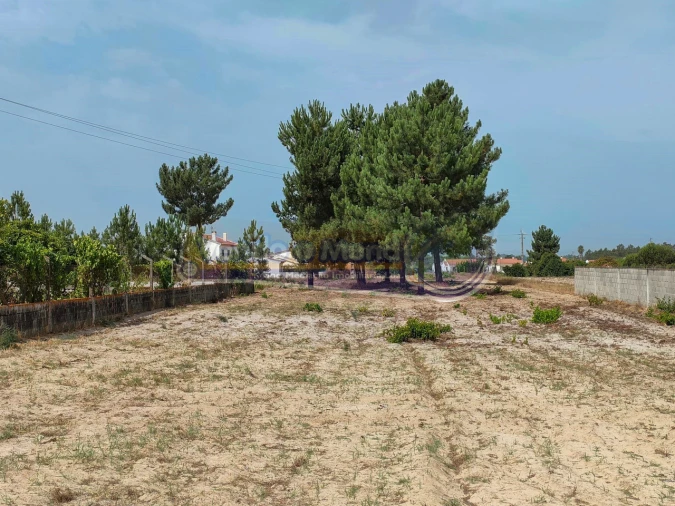 Terreno para Venda em Marinhais Foto 6