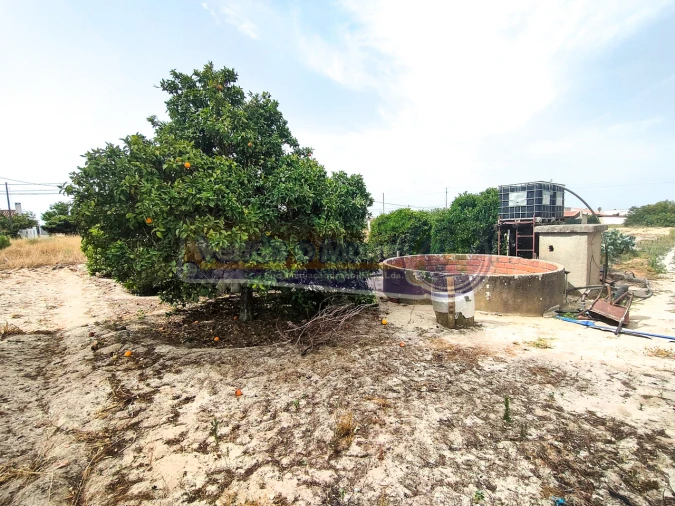 Terreno para Venda em Marinhais