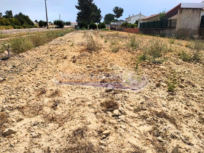Terreno para Venda em Marinhais Foto 4
