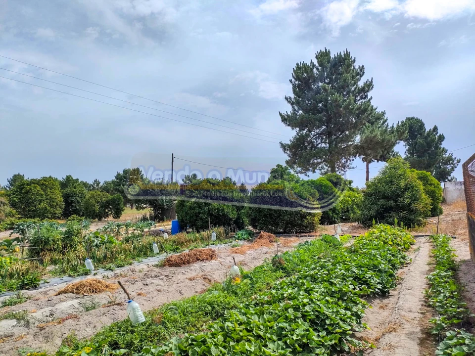 Terreno para Venda em Marinhais Foto 2