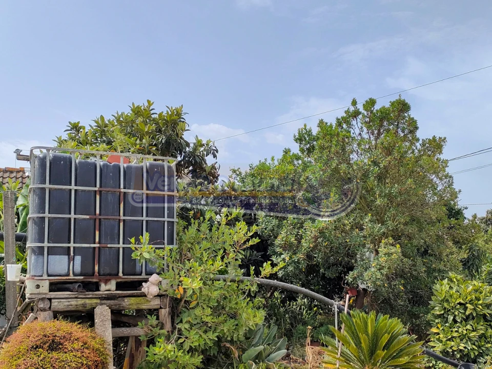 Terreno para Venda em Marinhais Foto 3