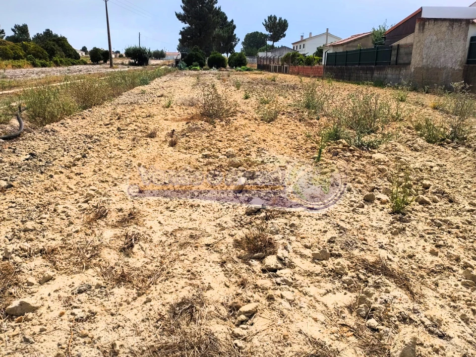 Terreno para Venda em Marinhais Foto 4
