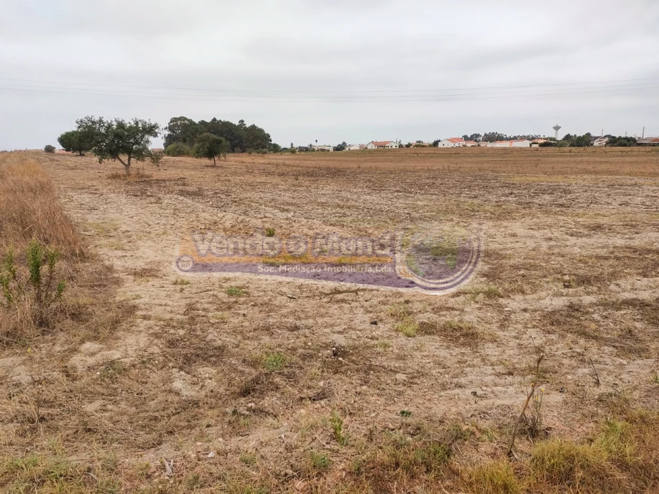 Terreno para Venda em Glória do Ribatejo e Granho Foto 2