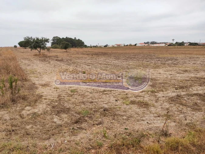 Terreno para Venda em Glória do Ribatejo e Granho Foto 2