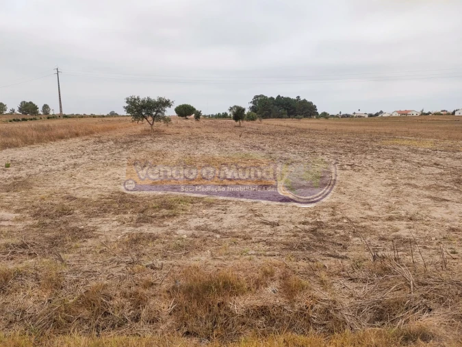 Terreno para Venda em Glória do Ribatejo e Granho Foto 1