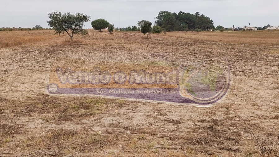 Terreno para Venda em Glória do Ribatejo e Granho