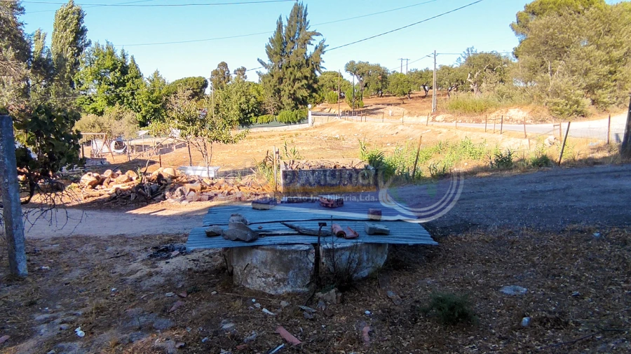 Terreno para Venda em Mora Foto 8