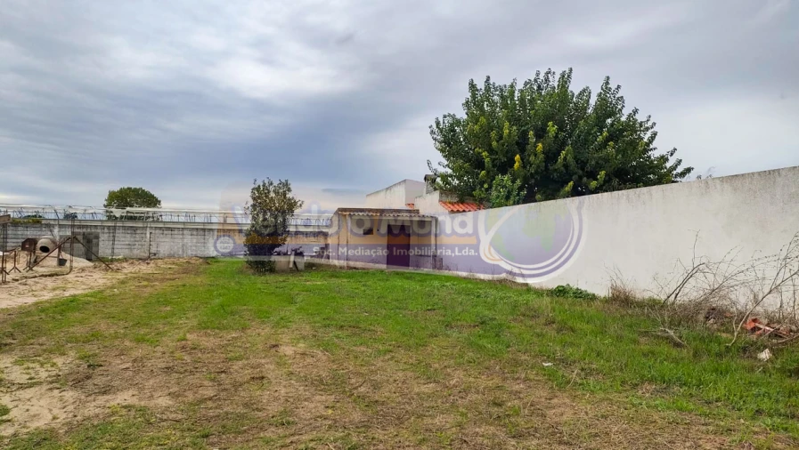 Terreno para Venda em Marinhais Foto 5