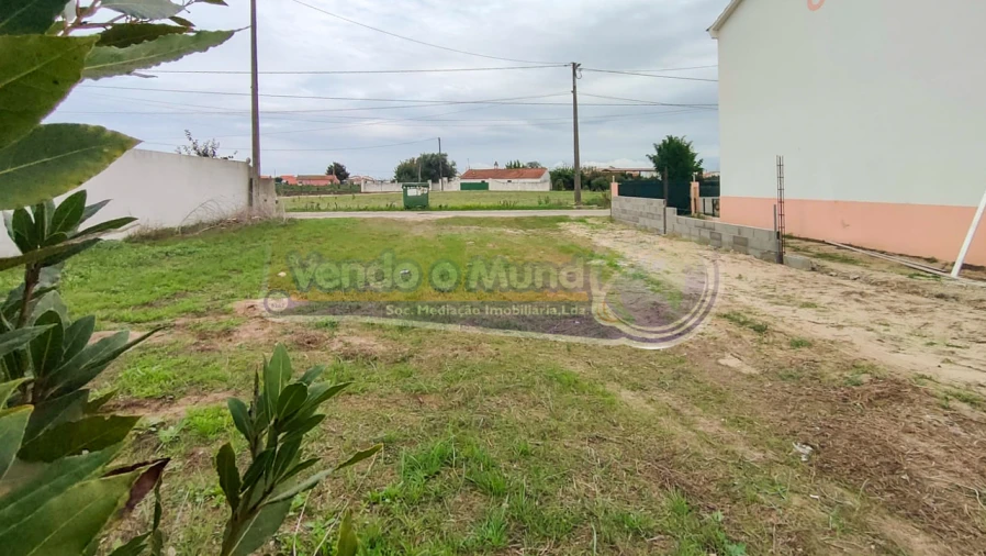 Terreno para Venda em Marinhais Foto 8