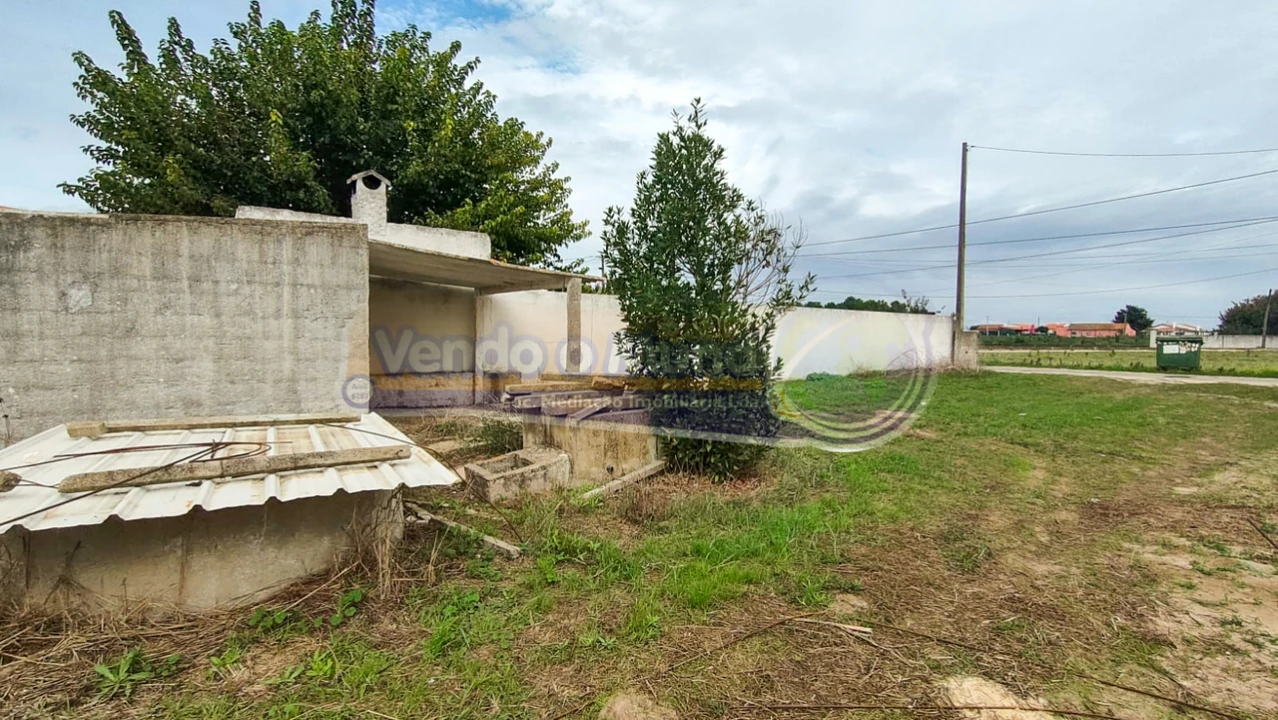 Terreno para Venda em Marinhais Foto 3