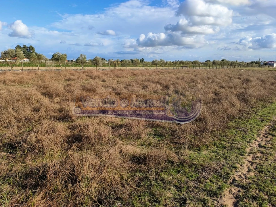 Terreno para Venda em Marinhais Foto 1