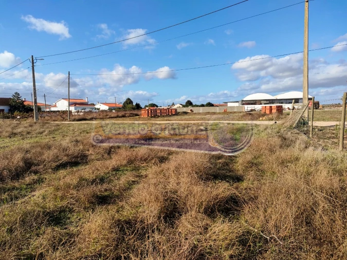 Terreno para Venda em Marinhais Foto 3