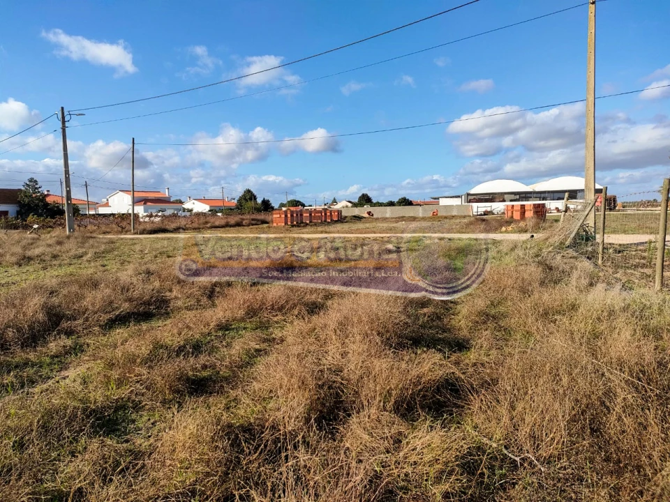 Terreno para Venda em Marinhais Foto 3