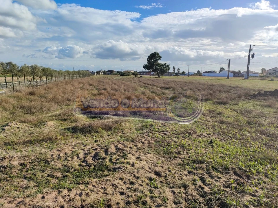 Terreno para Venda em Marinhais Foto 2