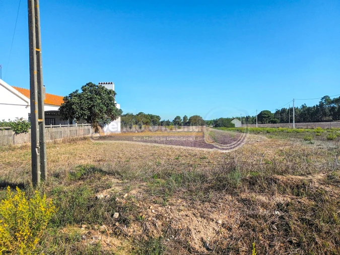 Terreno para Venda em Marinhais Foto 3