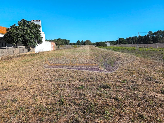 Terreno para Venda em Marinhais