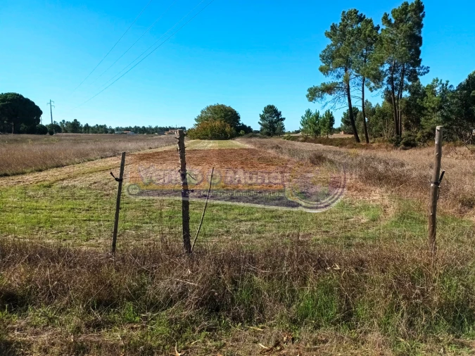 Terreno para Venda em Marinhais Foto 2