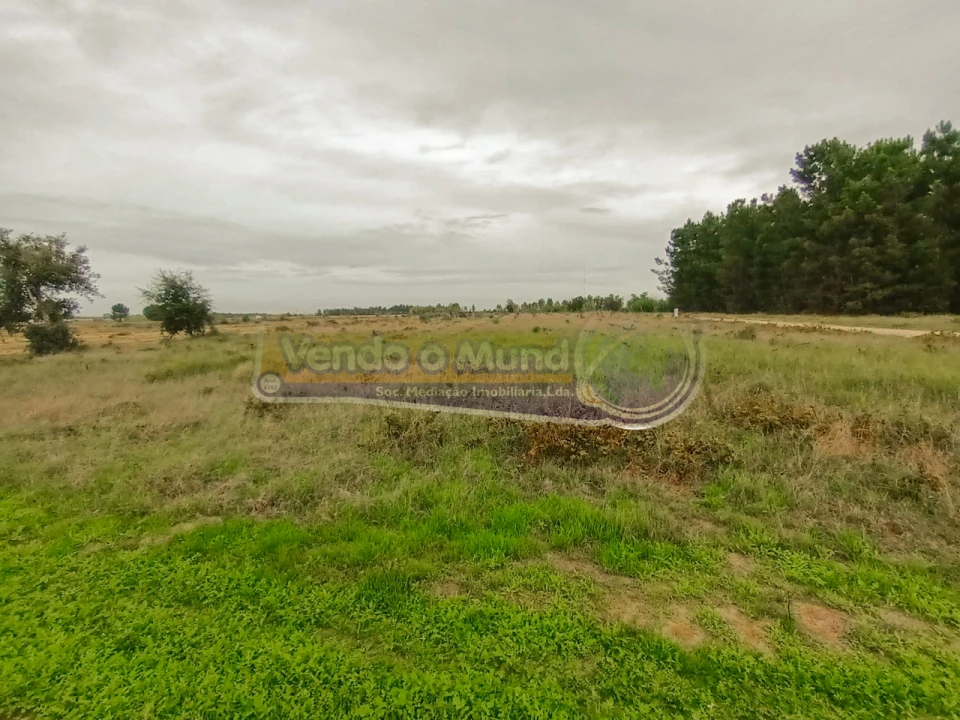 Terreno para Venda em Marinhais Foto 1