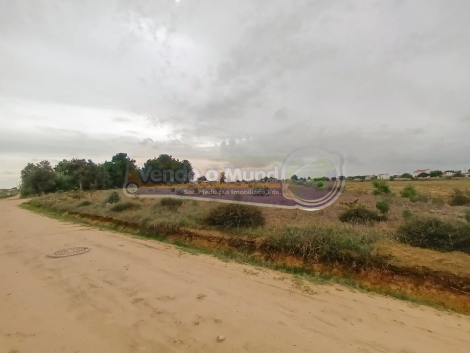 Terreno para Venda em Marinhais Foto 3