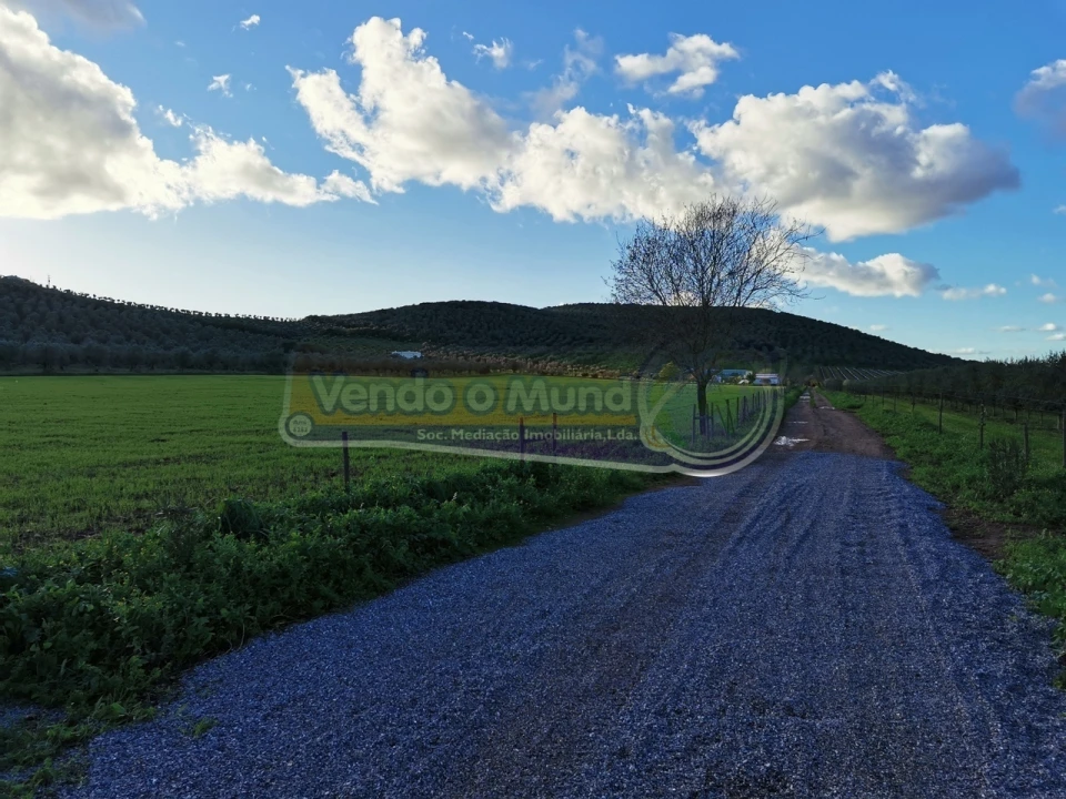 Terreno para Venda em Sousel Foto 3