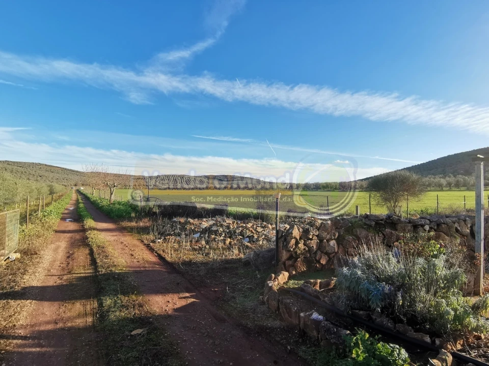 Terreno para Venda em Sousel Foto 6