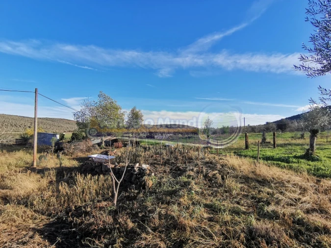 Terreno para Venda em Sousel Foto 8