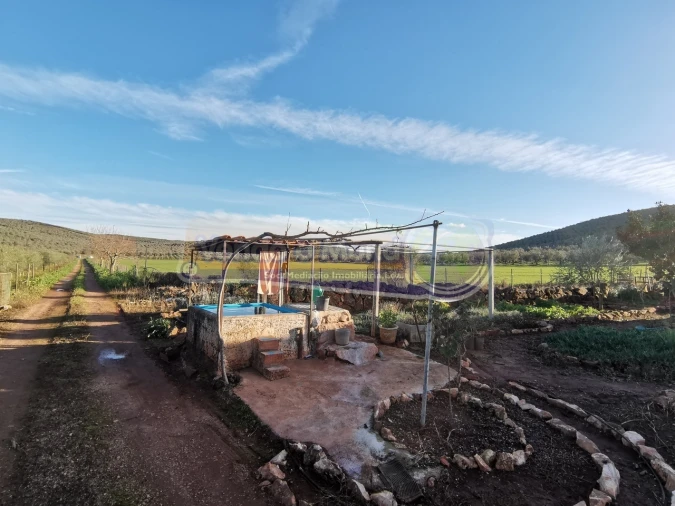 Terreno para Venda em Sousel Foto 12