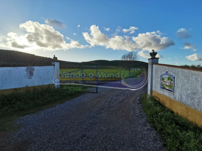 Terreno para Venda em Sousel Foto 1