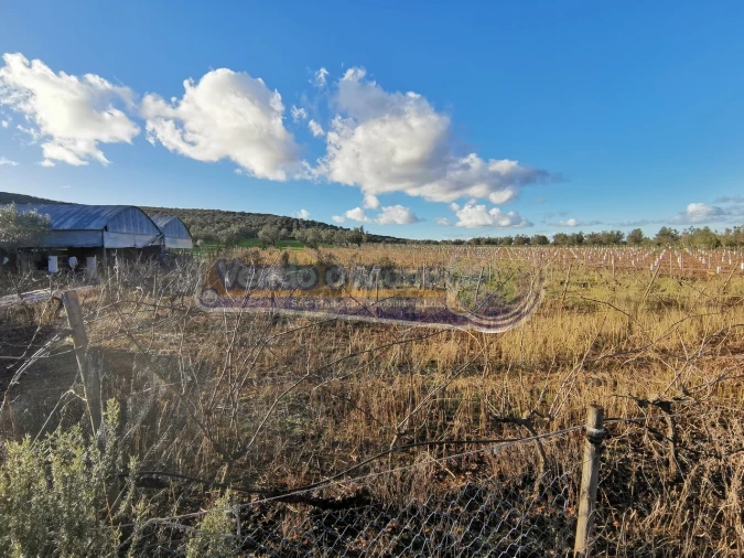 Terreno para Venda em Sousel Foto 13