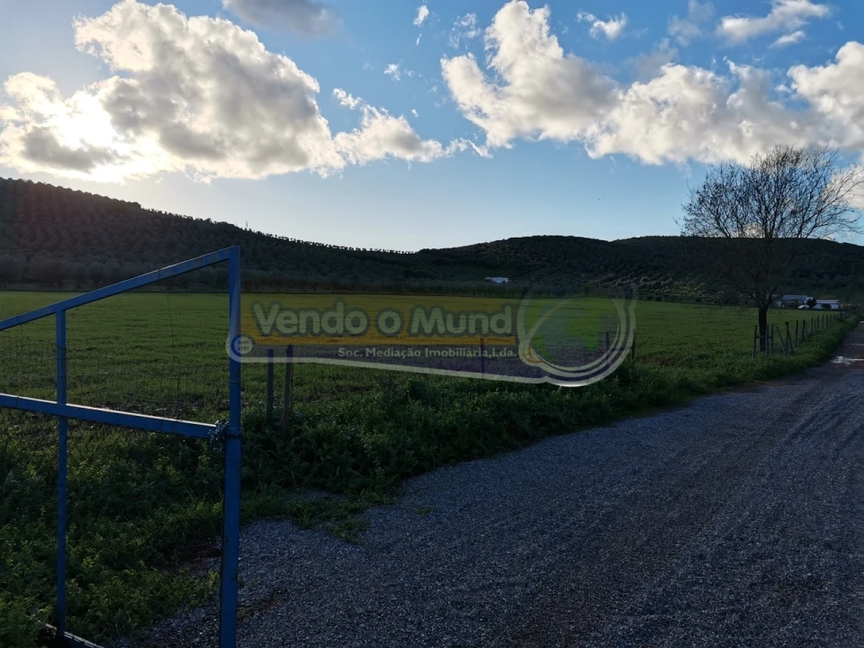 Terreno para Venda em Sousel Foto 2