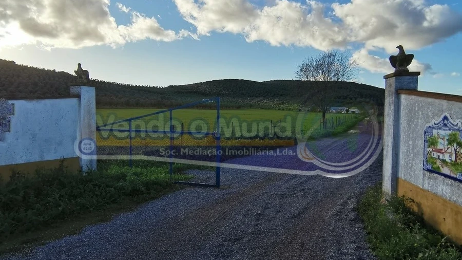 Terreno para Venda em Sousel